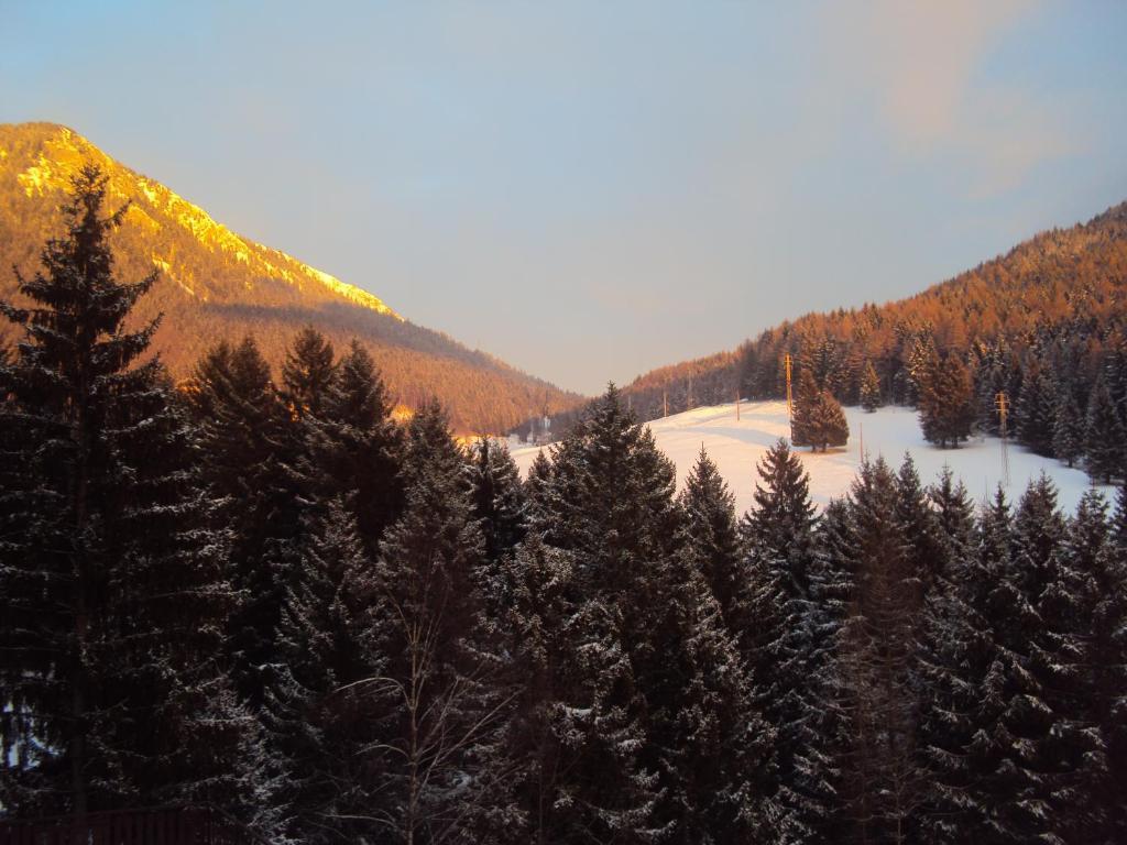 Hotel Des Alpes Castione della Presolana Chambre photo