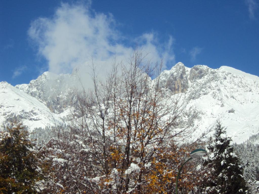 Hotel Des Alpes Castione della Presolana Chambre photo